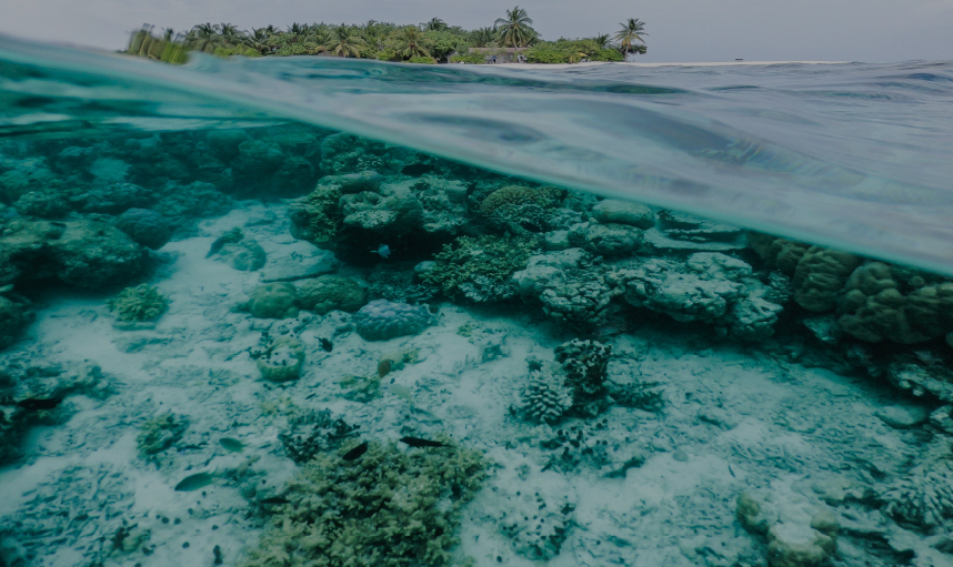 M2 - Youth and the Climate Crisis [Self-Paced] YWD02